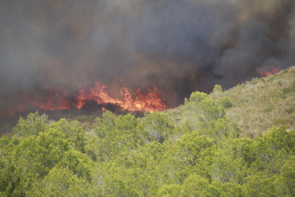 Incendio forestal en Llutxent