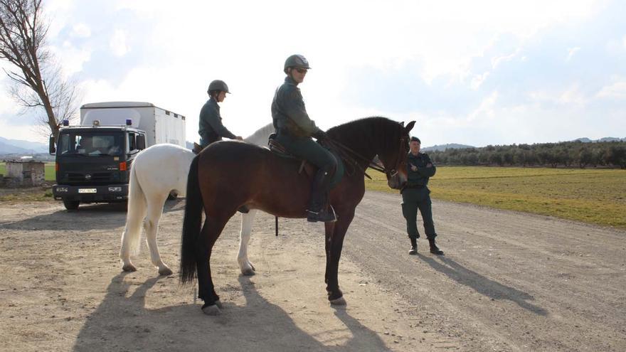 Desarticulada una trama que robaba caballos en la comarca de Antequera