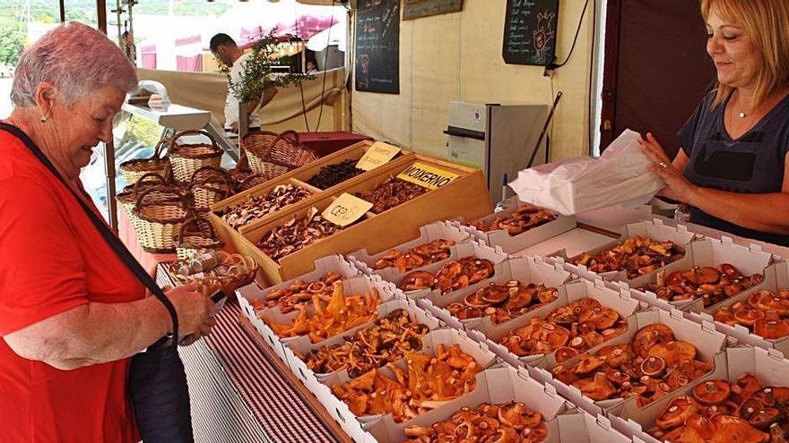 Parades al Mercat del bolet d&#039;Olvan