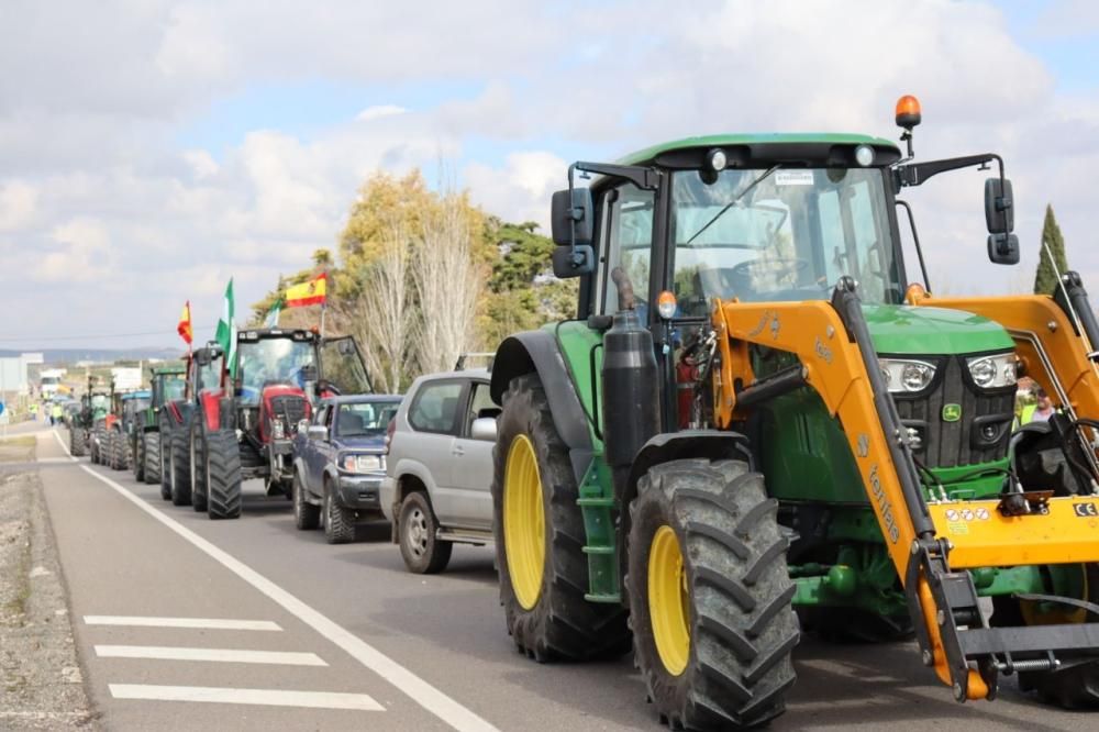 Tractorada de los agricultores y ganaderos malagueños contra los precios bajos que impone la industria.