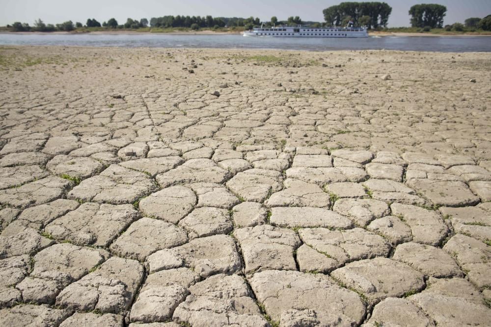 Así se vive la ola de calor en el mundo