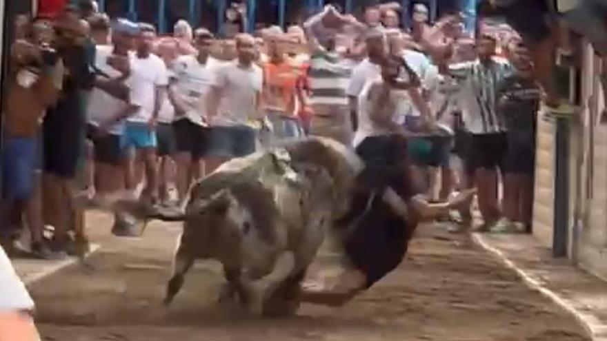 Vídeo: Así fue la embestida del toro en Petrés a un joven de Almenara
