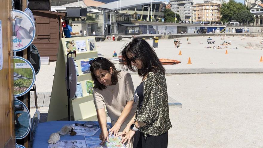 'Biblioteca verde' en A Coruña: la playa de Riazor abre sus puertas al programa de educación ambiental para el verano