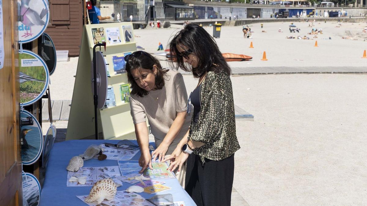 'Biblioteca verde' en A Coruña: la playa de Riazor abre sus puertas al programa de educación ambiental para el verano