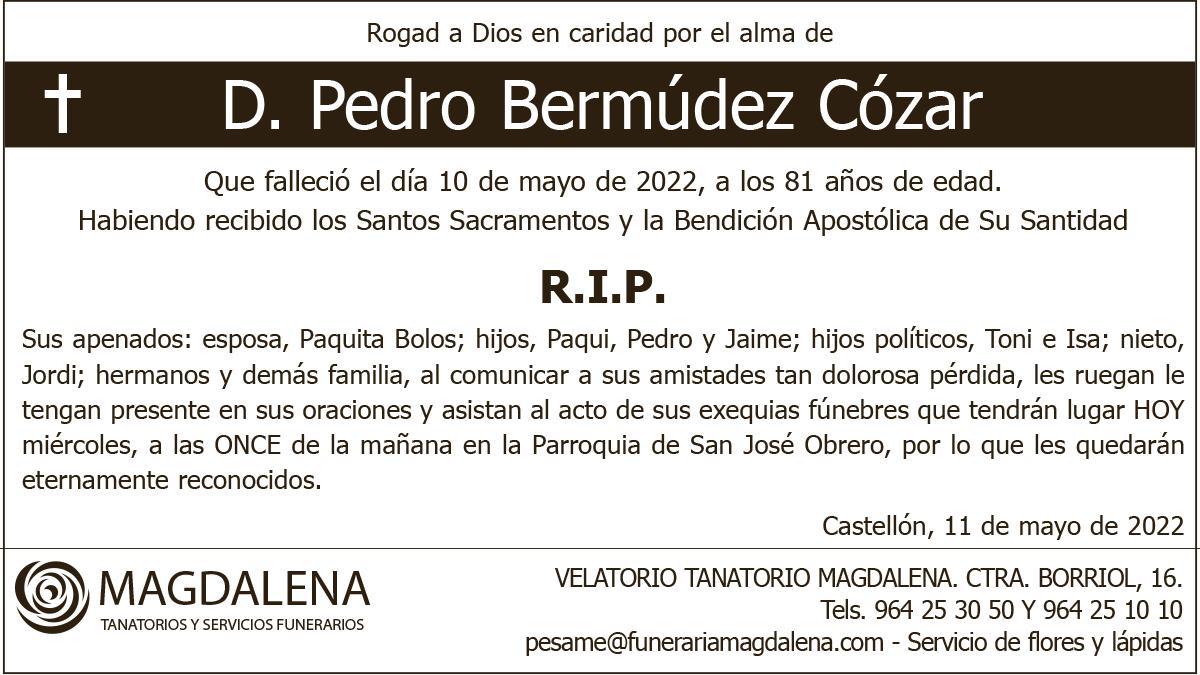 D. Pedro Bermúdez Cózar