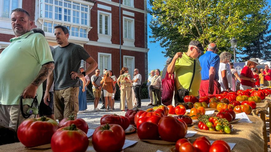 El Perón de Zaragoza se convierte en &#039;el mejor tomate de España&#039; de la Feria Nacional del Tomate Antiguo en Polanco