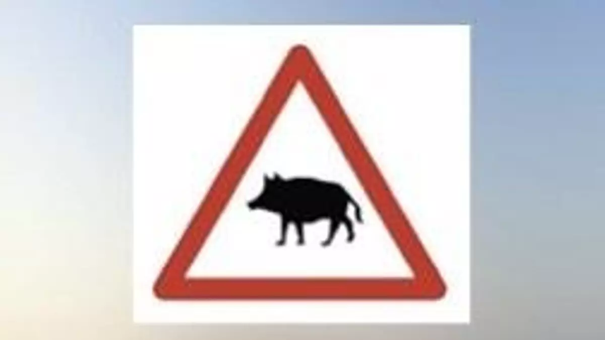 Mucho cuidado con la nueva señal de la DGT sobre animales