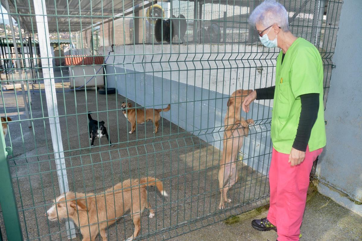 Una voluntaria de Os Palleiros