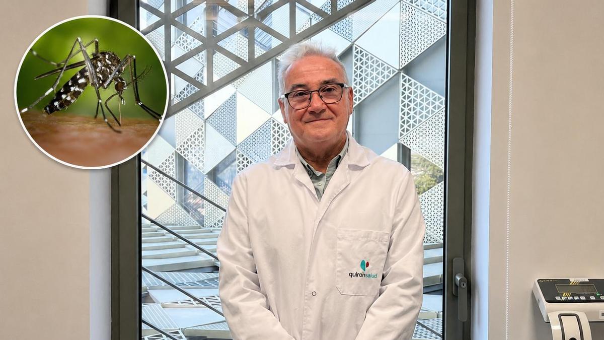 En la imagen grande el jefe de las Urgencias del Quirónsalud Córdoba, Francisco Sánchez. En el círculo pequeño, un mosquito picando a una persona.