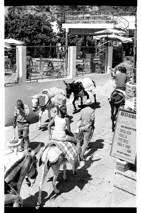 Los paseos en burro por los alrededores de las Fuentes del Algar se convirtieron durante años en un medio para lograr unas pesetas, como se aprecia en estas imágenes de los 60.