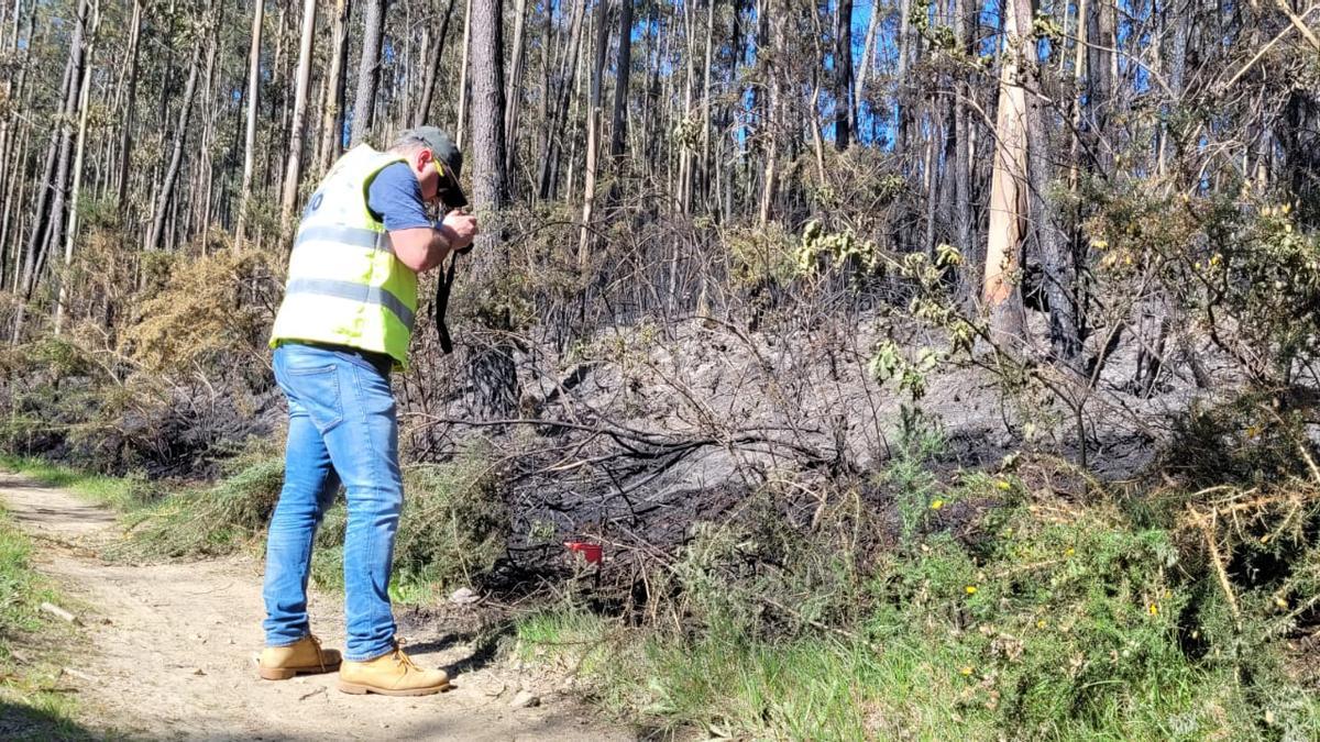 Un axente da Unidade de Investigación de Incendios Forestais recollendo datos dun lume