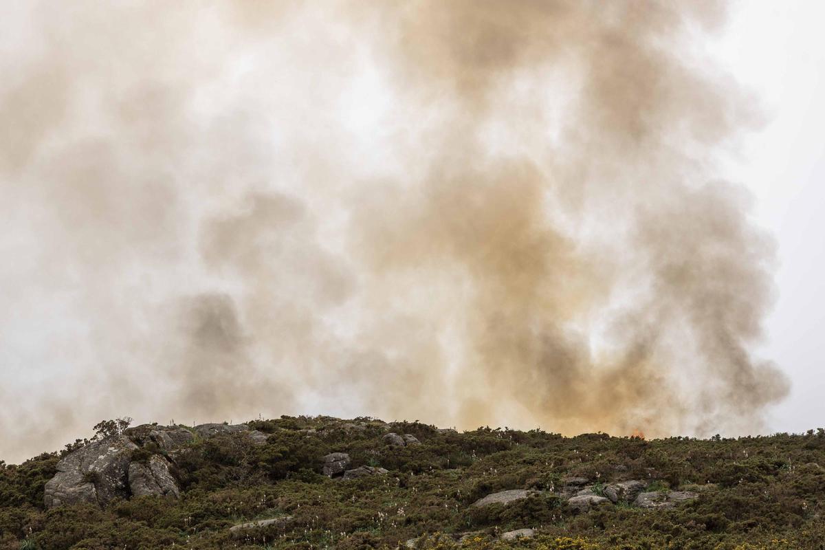 El fuego, un aliado en la prevención de las llamas: «Reduce la carga y nos da margen de seguridad