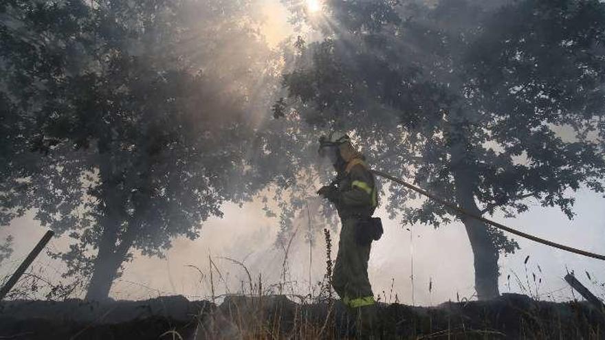 Un bombero forestal, en un incendio en Lalín. // Bernabé/Gutier