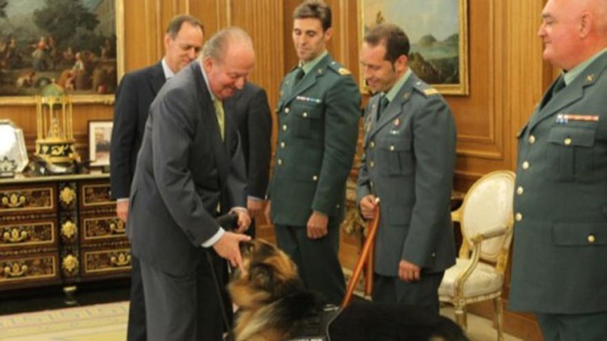El Rey recibe a Ajax, el perro de la guardia civil que evitó un segundo atentado en Palma