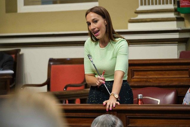 Pleno del Parlamento de Canarias 12.07.2022