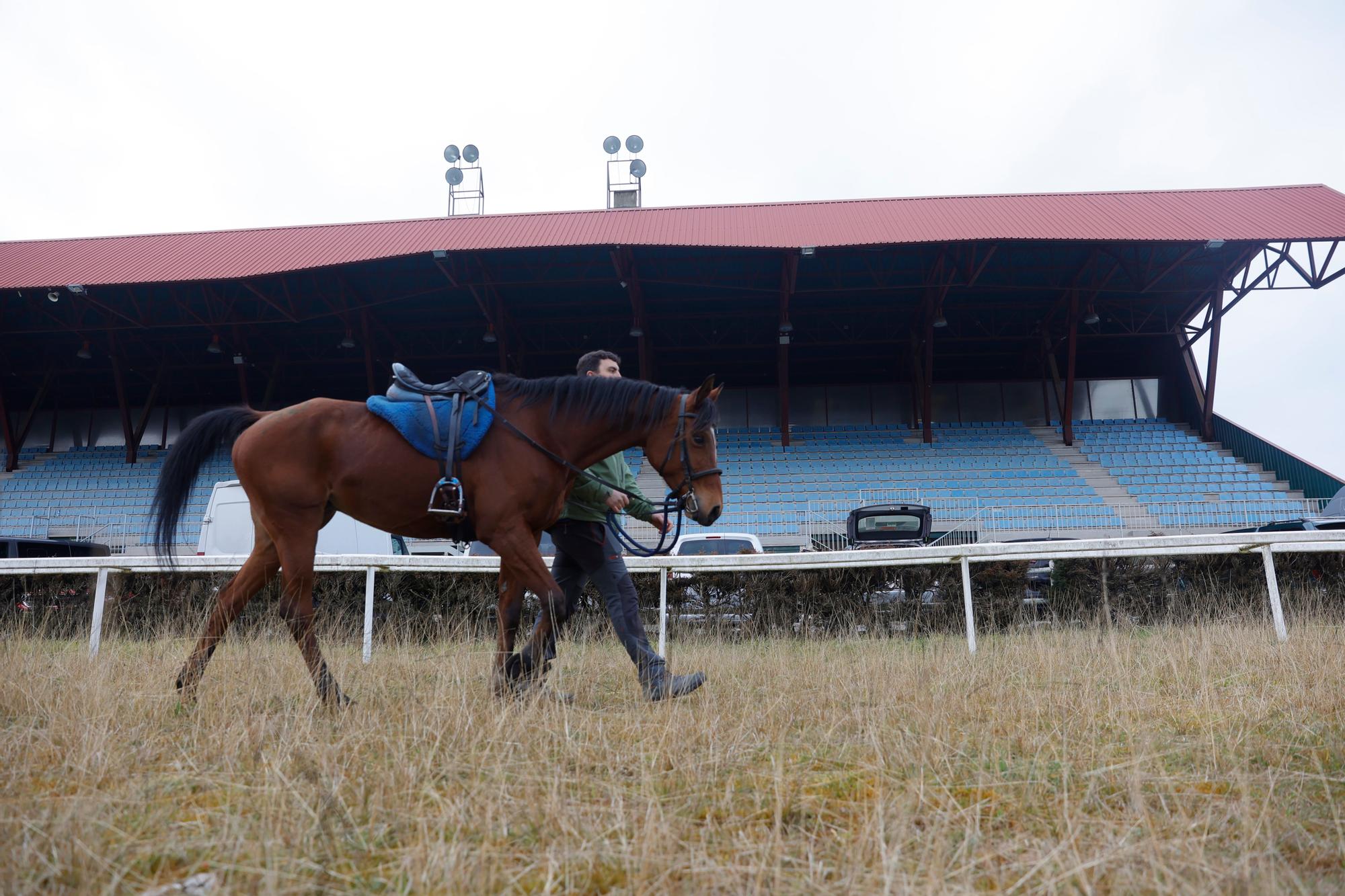 Los caballos vuelven por un día tras seis años al Asturcón