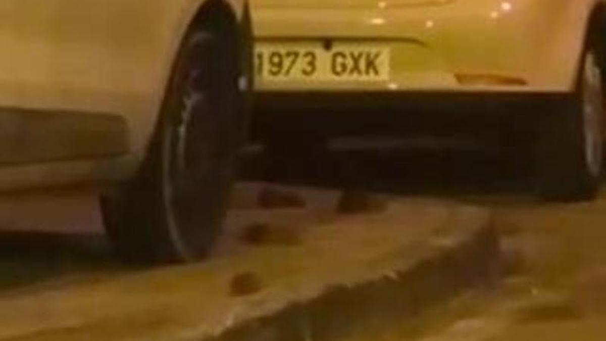 Ratas en la calle Roselló de Alicante