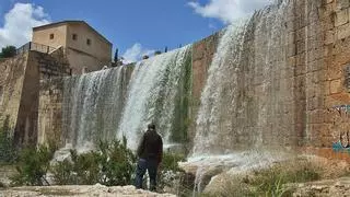 El corazón verde de Alicante apunta a Europa