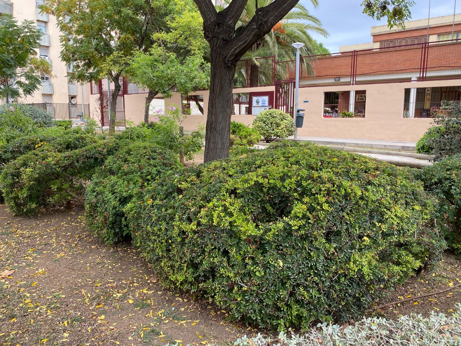 Las imágenes del jardín de los dragones de Nou Llevant