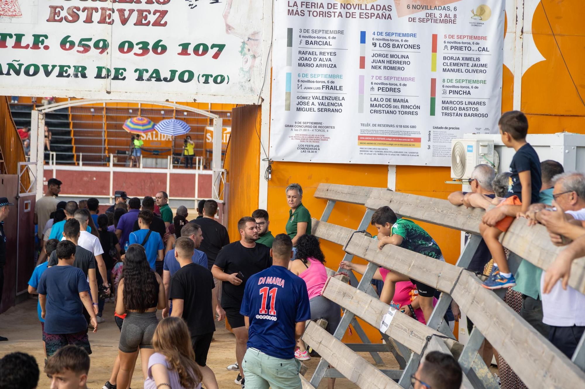 Cuarto encierro de la Feria Taurina del Arroz en Calasparra