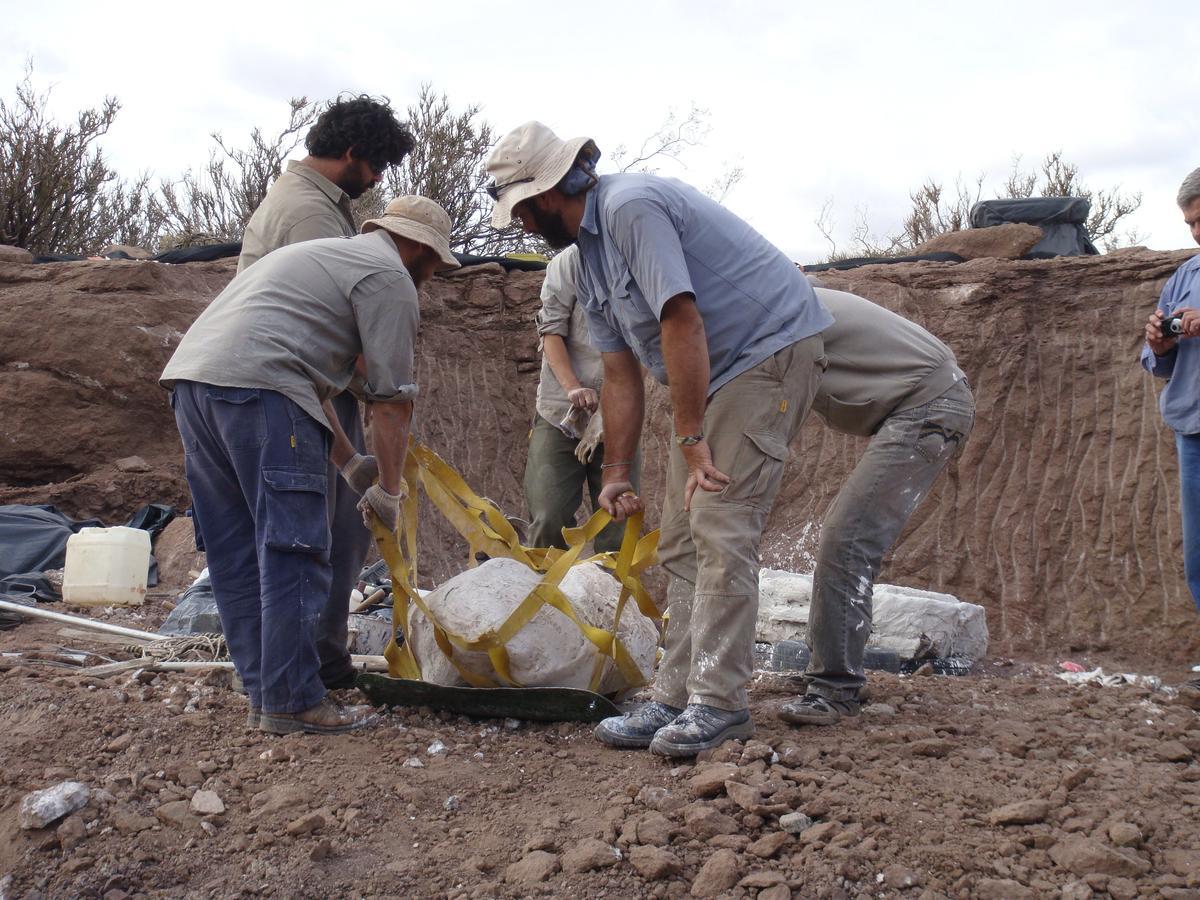 Excavación del sitio arqueológico donde se han hallado los restos del 'Meraxes gigas'.