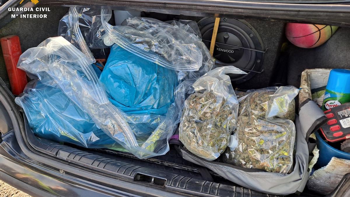 La marihuana incautada en Épila