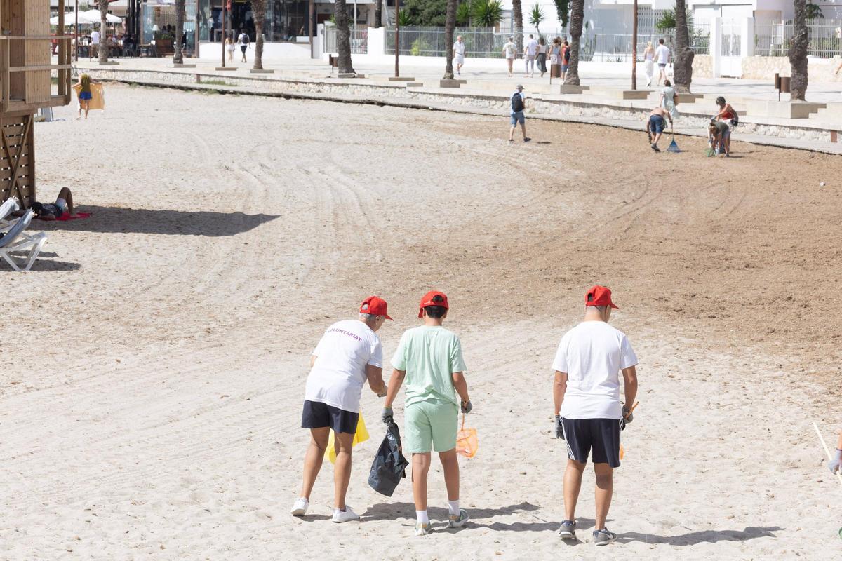 Mira todas las imágenes de la limpieza en ses Figueretes
