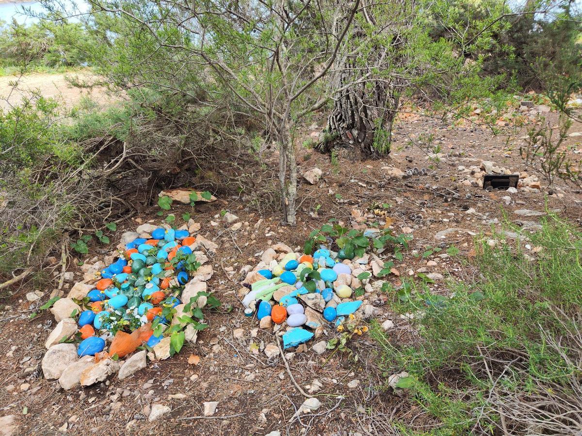 El cementerio ilegal de perros y gatos de sa Caleta en imágenes El cementerio ilegal de perros y gatos de sa Caleta en imágenes