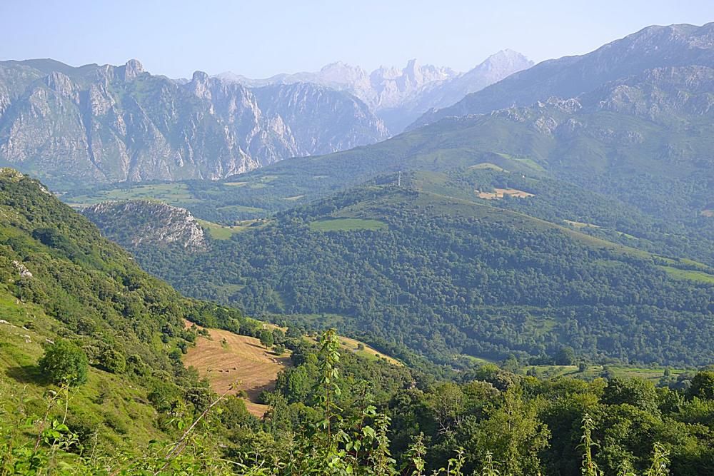 Asiegu (Cabrales), nuevo premio Pueblo Ejemplar de