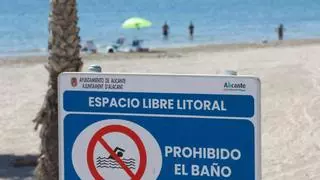 El Ayuntamiento de Alicante propone construir un tercer carril para llevar servicios a la playa de San Gabriel