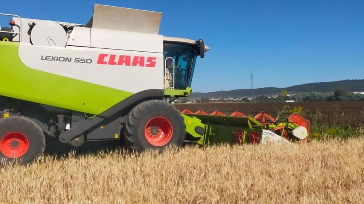 El agua ha llegado tarde para el cereal, que ya está segado en gran parte de la provincia.