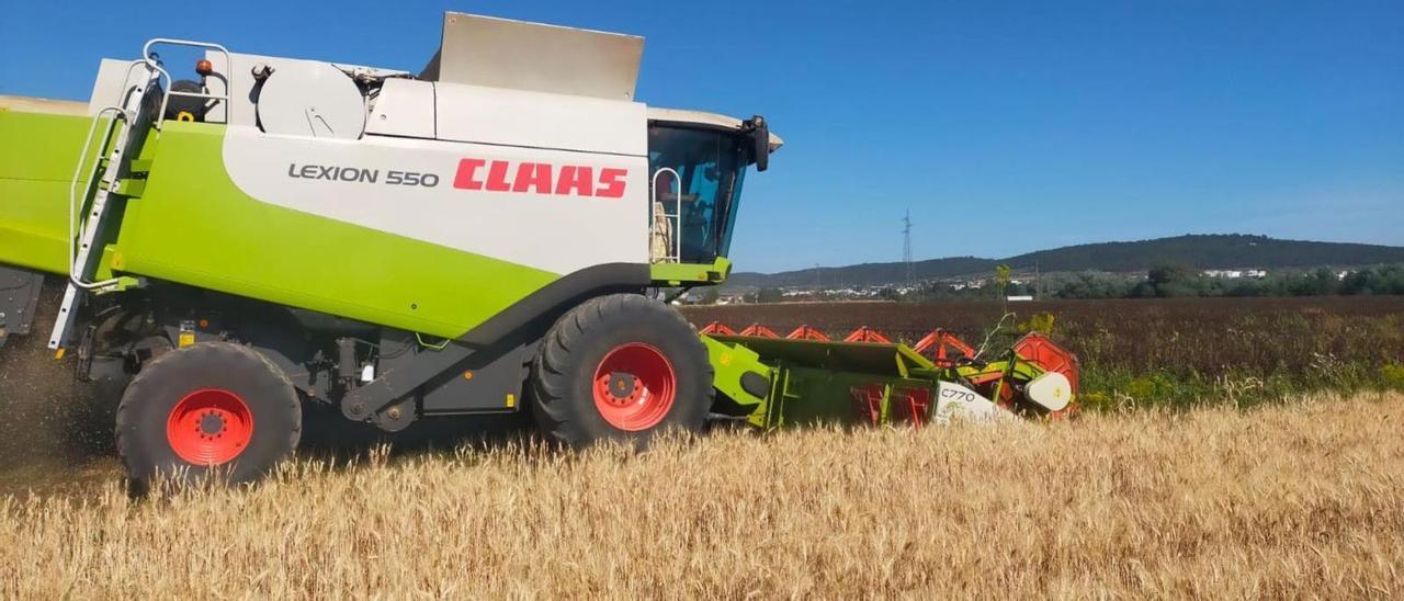 El agua ha llegado tarde para el cereal, que ya está segado en gran parte de la provincia.