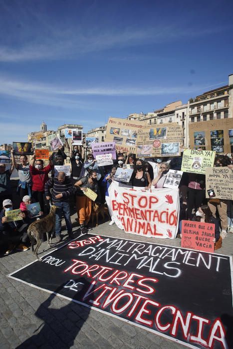 Concentració a Girona per reclamar l'alliberament dels animals de Vivotecnia de Madrid