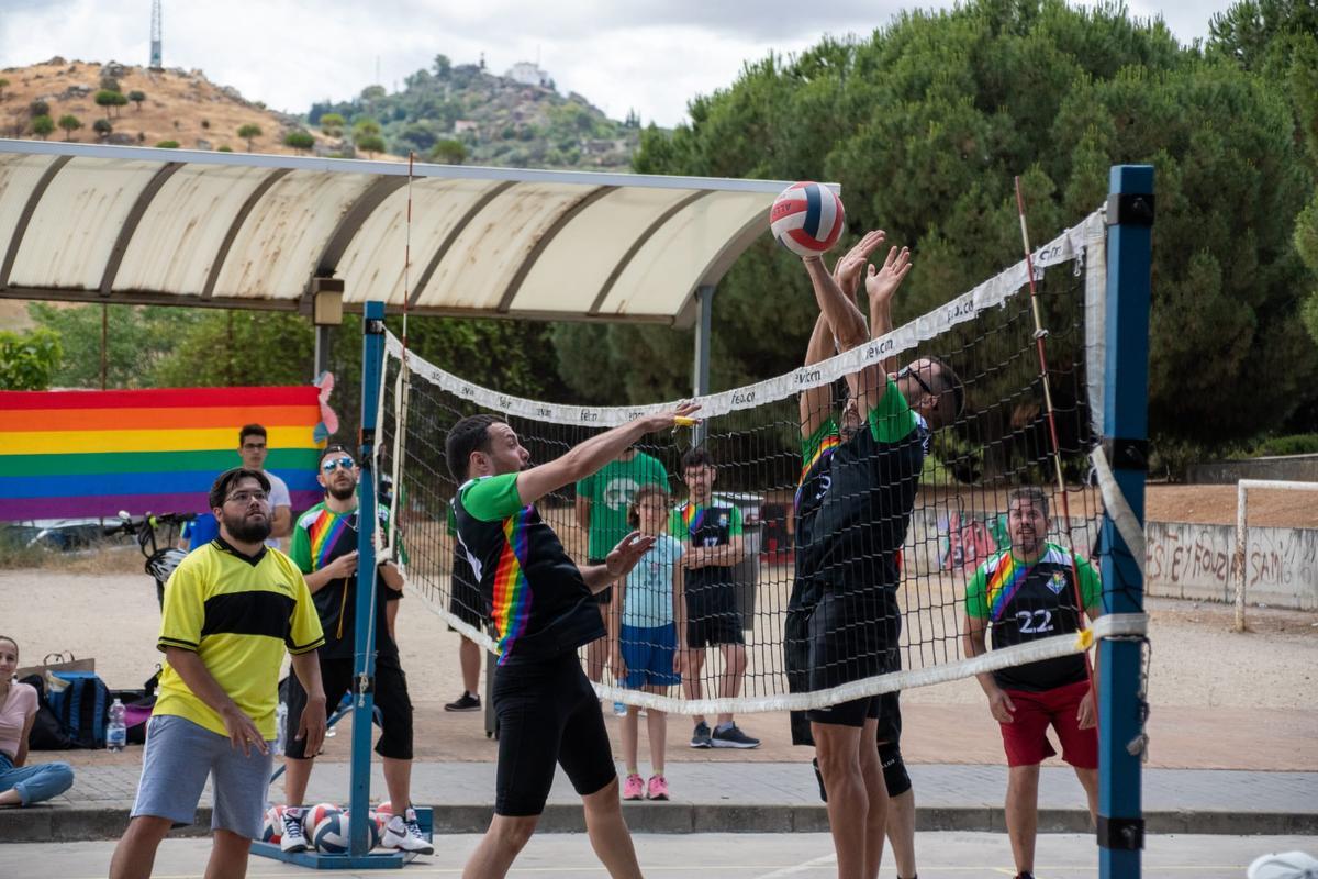 DiverCeres durante un partido de voleibol.
