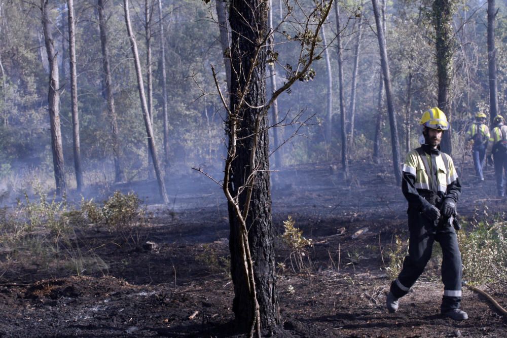 Incendi a Vilopriu