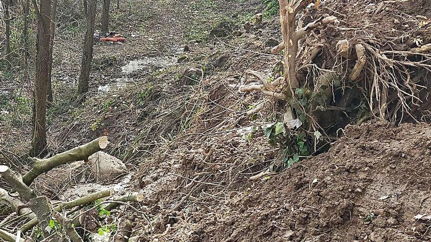 Zona del camí de Cal Pinassa que s&#039;adequarà