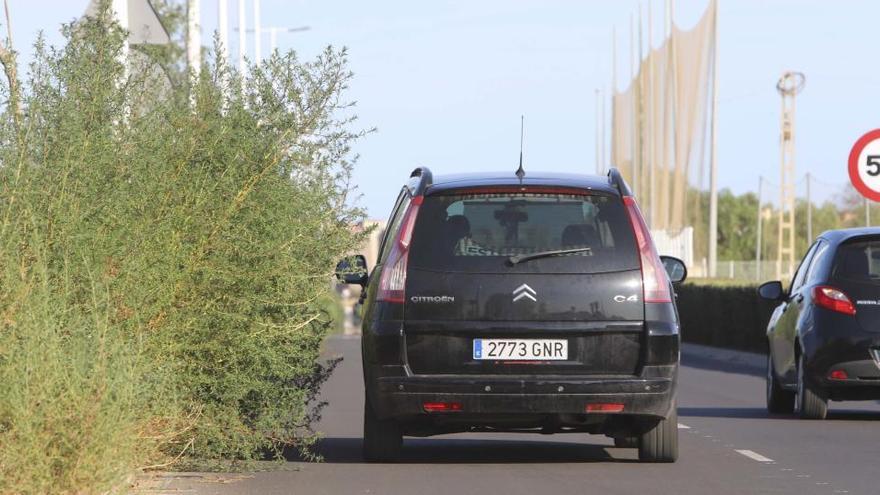 La vegetación invade una carretera