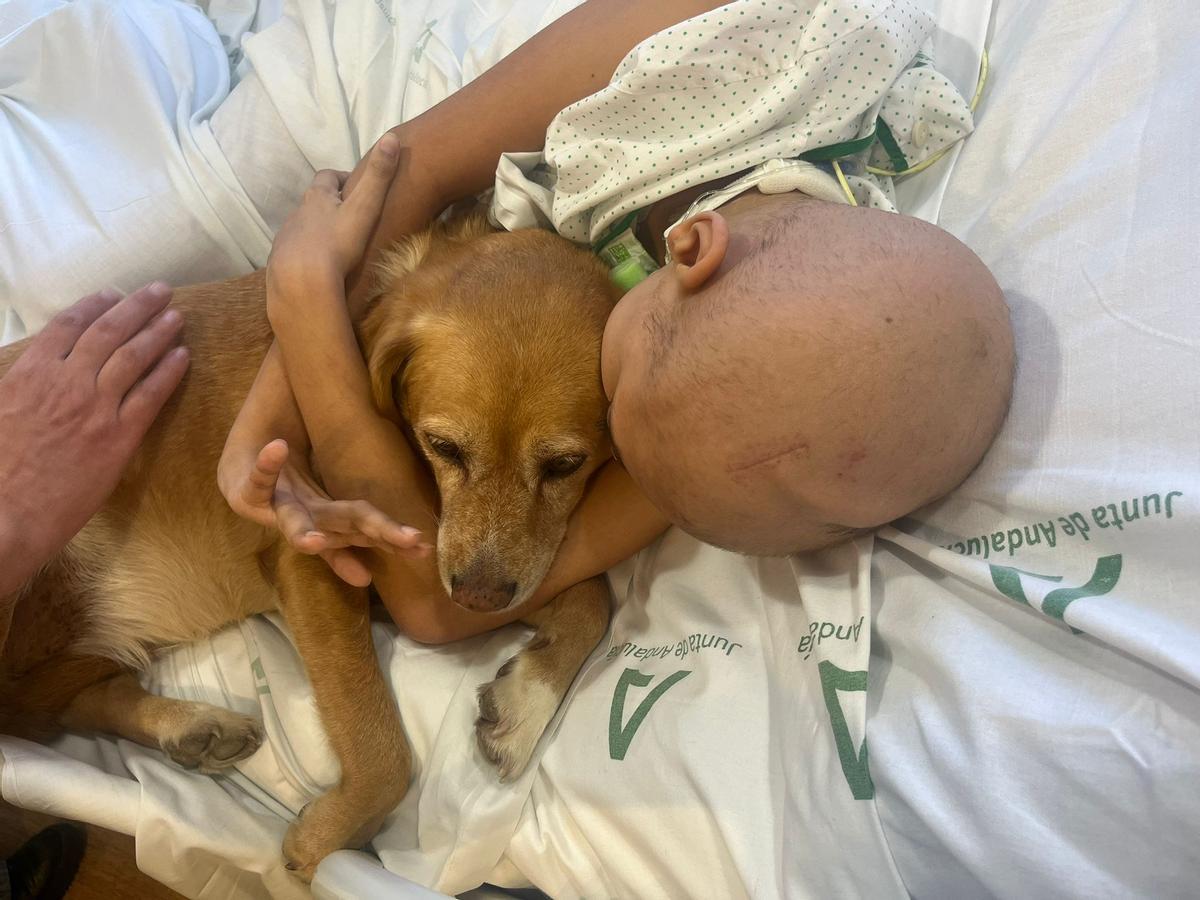 AVOI retoma la terapia canina en el Hospital Materno