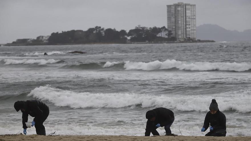 Voluntarios en la playa de Samil, este miércoles