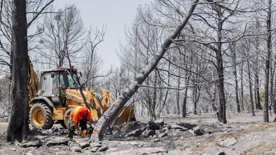 Máximo riesgo de incendios forestales en varias zonas de Zaragoza y Huesca