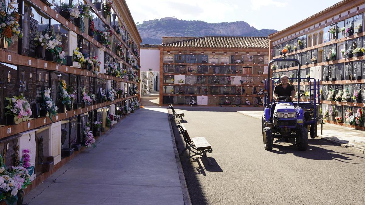Un operario ultima los preparativos para Todos los Santos en el cementerio municipal de Xàtiva.