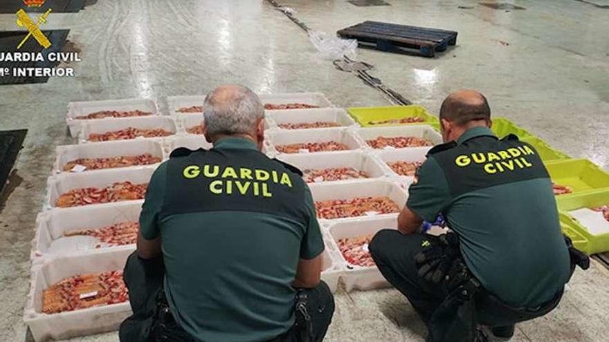 Agentes de la Guardia Civil, ante las cajas de cigala decomisadas.