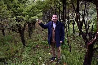Lourizán conserva y mejora genéticamente cientos de especies esenciales frente al cambio climático