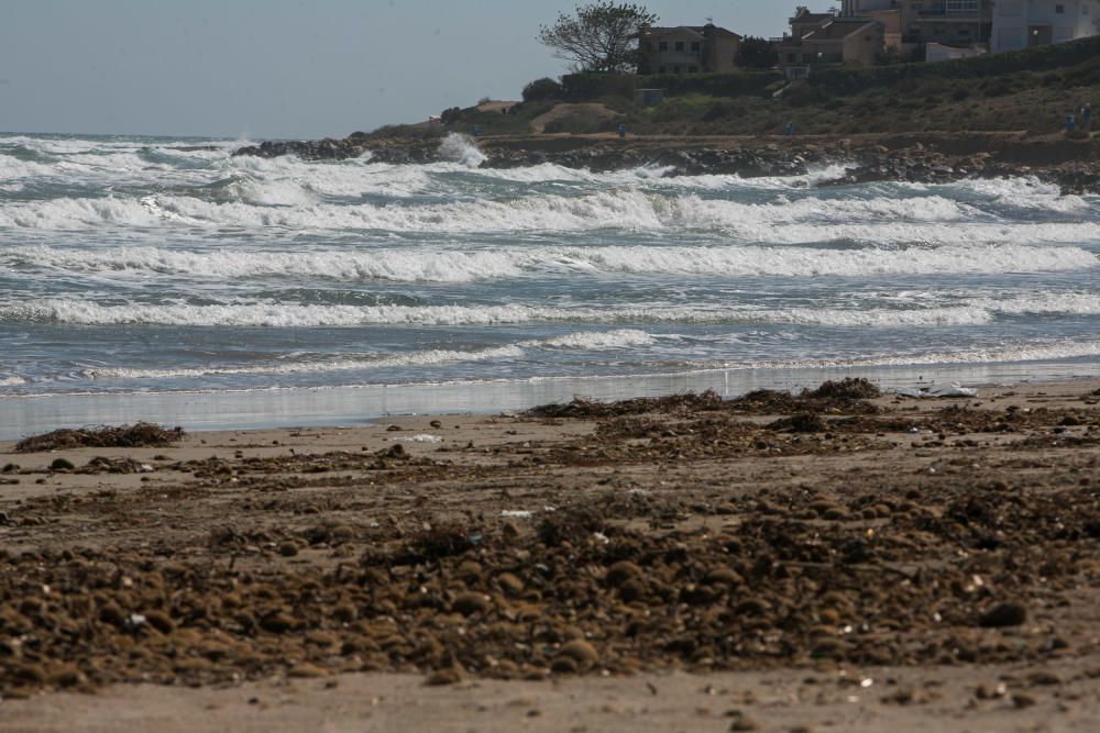 Tres edificios de la playa de San Juan siguen anegados y 120 viviendas sin luz ni agua