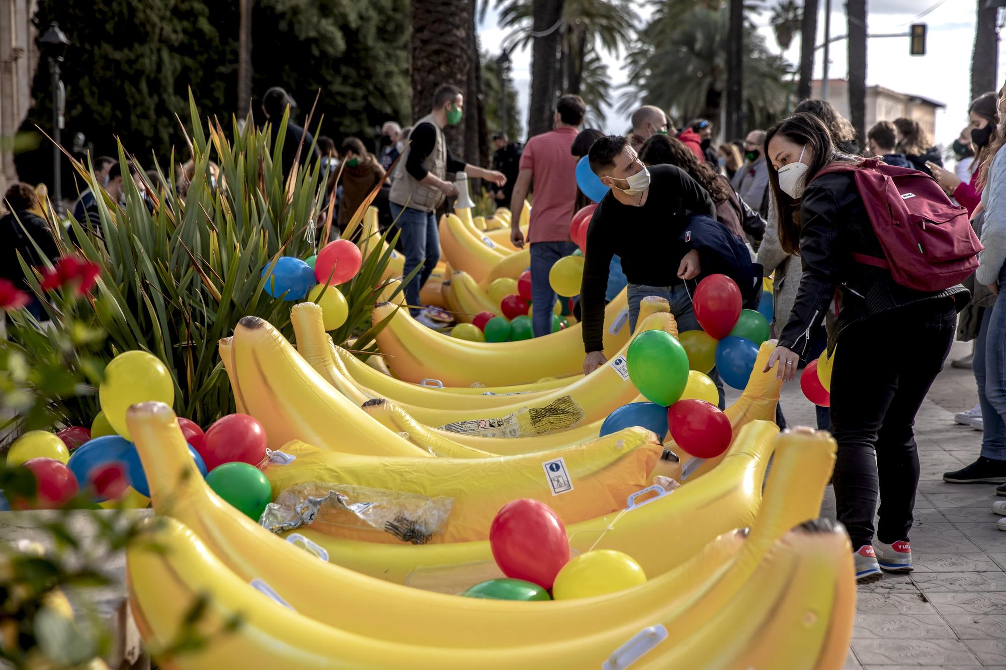 Beamte auf Mallorca ziehen mit Bananen vor den Regierungssitz