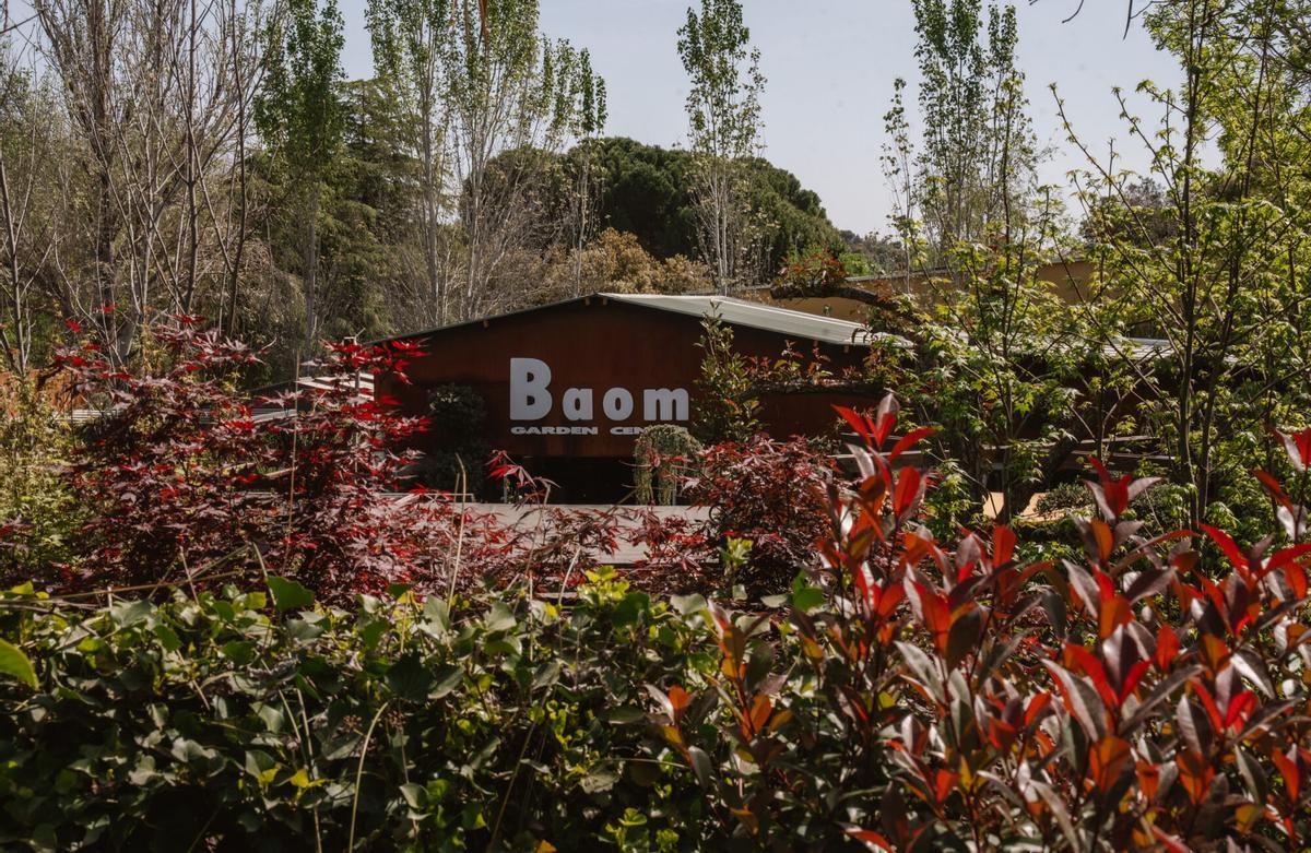 29.04.2026. MADRID. Imágenes del vivero y estudio de diseño de jardinería BAOM, localizado en Brunete. Foto: Alba Vigaray
