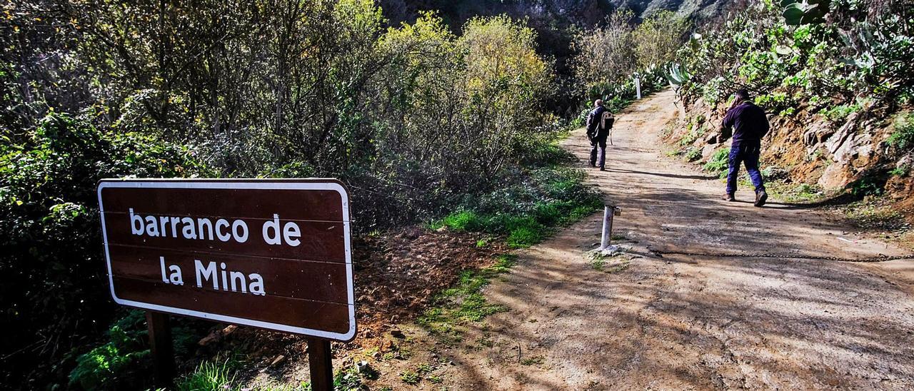 El Barranco de La Mina al paso por Las Lagunetas.