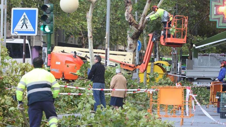 Al-Zahara y CMC reclaman que se asegure la prestación de servicios