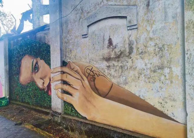 Meninas: Ferrol en technicolor