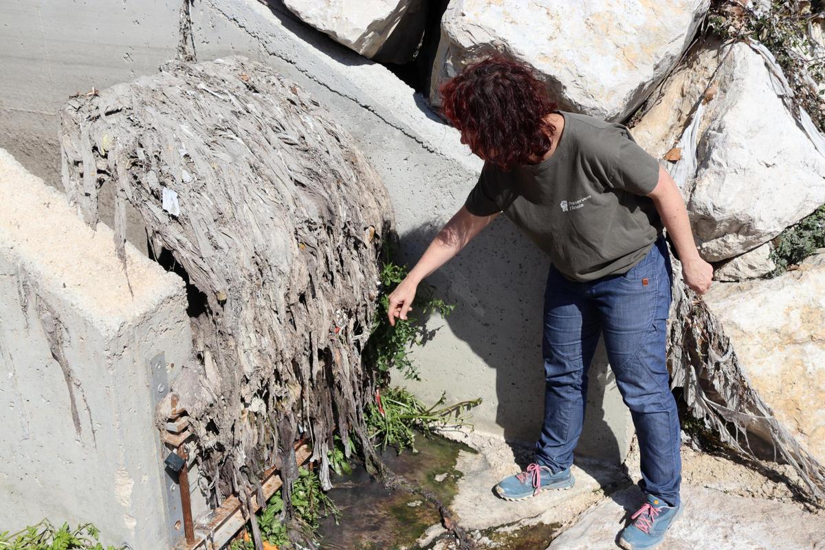 Tovalloletes acumulades en una de les reixes que es va posar en un sobreeixidor al riu Anoia